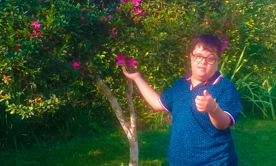 Junho é o mês do meio ambiente e não poderíamos deixar de fora a árvore. Além conhecermos sua importância na liberação de oxigênio e absorção de gás carbônico também conhecemos suas partes (raiz, tronco, galhos, folhas e frutos).